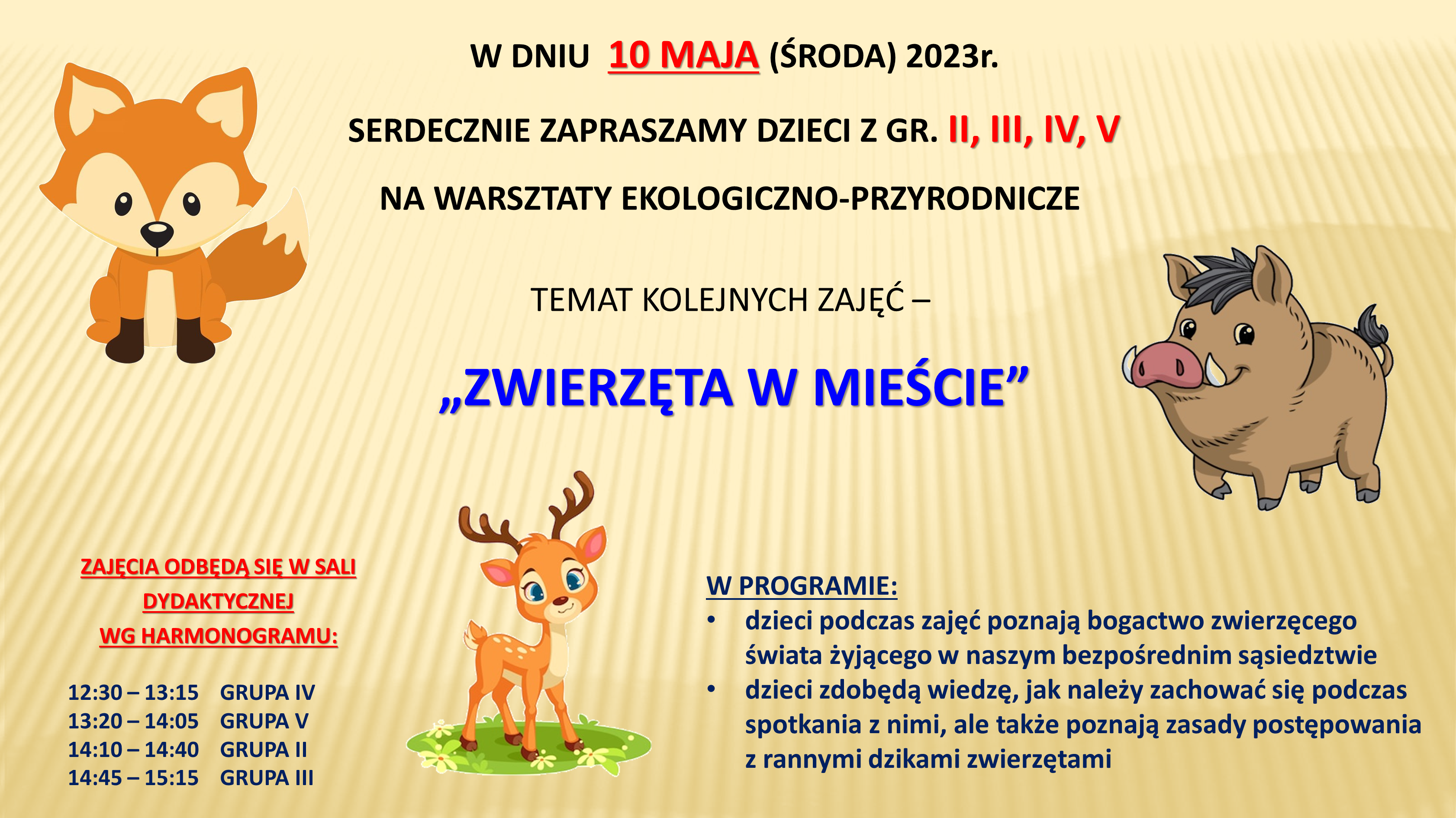 Warsztaty ekologiczne – maj
