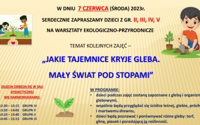 Warsztaty ekologiczne – czerwiec