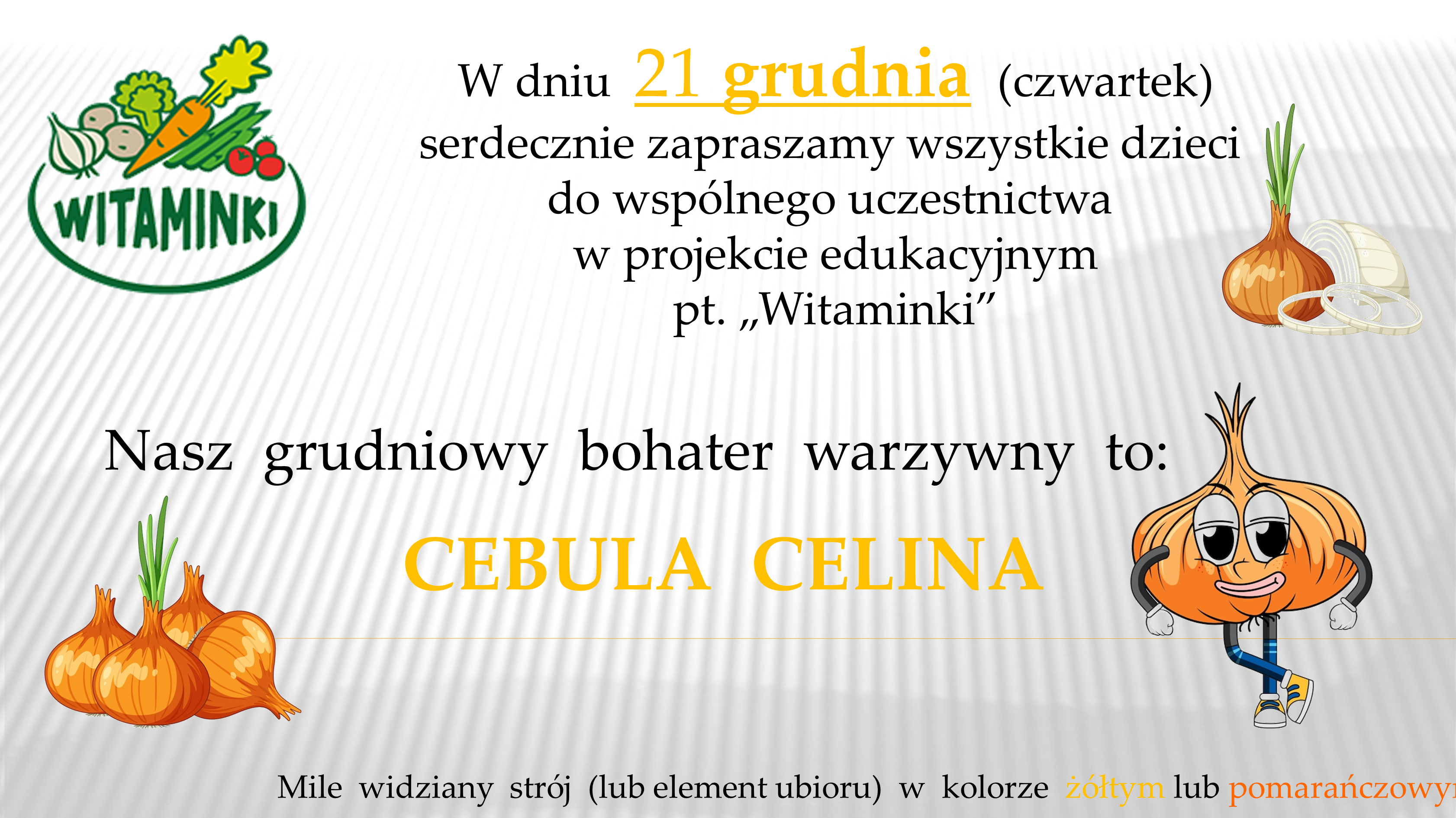 BOHATER WARZYWNY GRUDZIEŃ – CEBULA CELINA