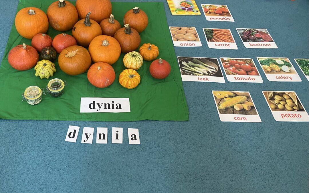 DZIEŃ DYNI – DYNIA DANA
