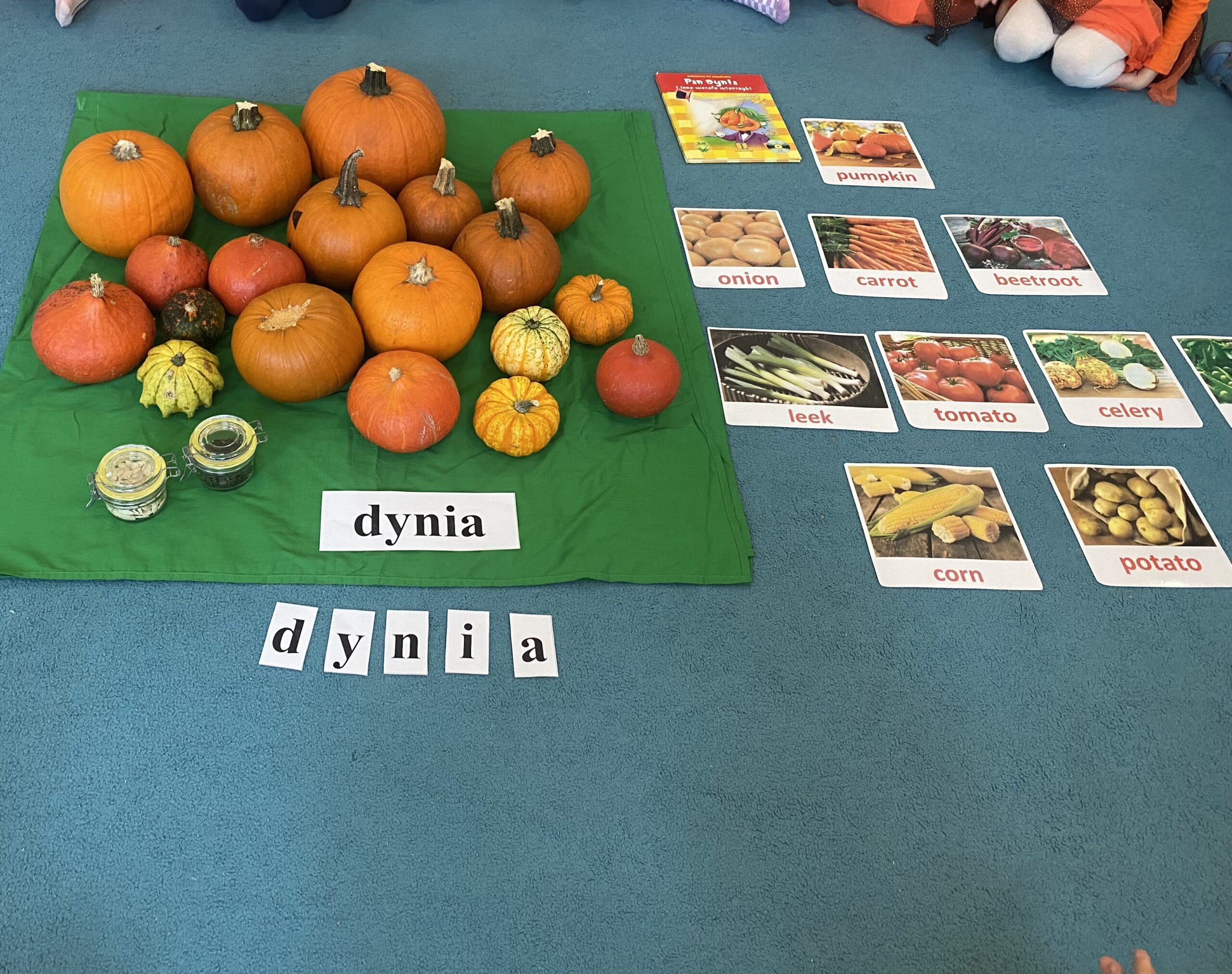 DZIEŃ DYNI – DYNIA DANA