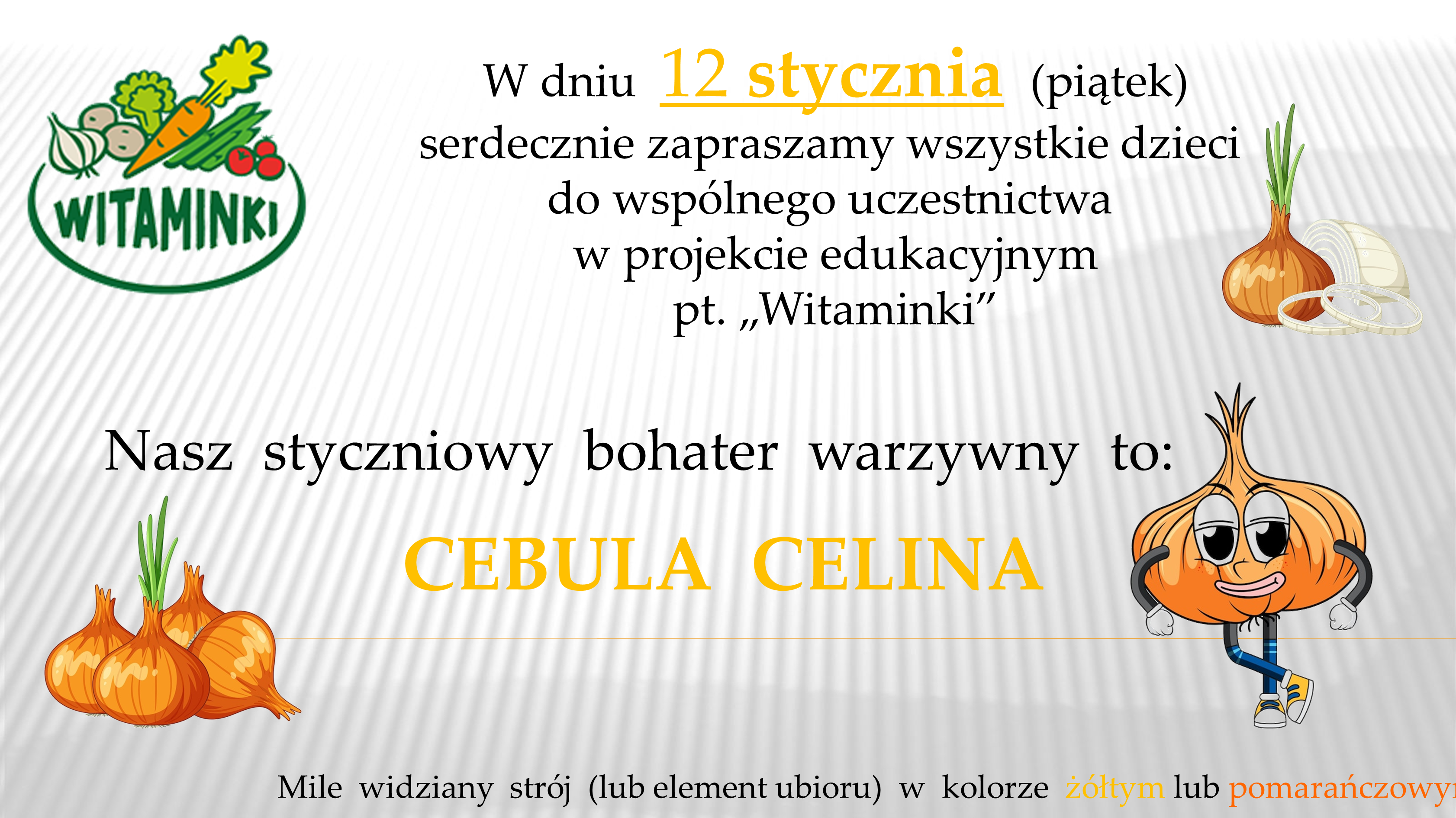BOHATER WARZYWNY STYCZEŃ – CEBULA CELINA