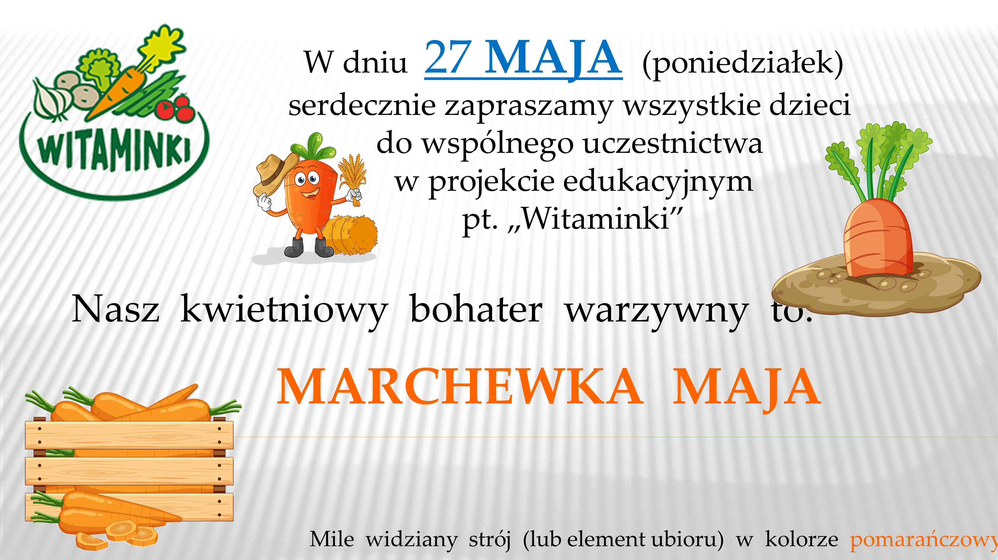 BOHATER WARZYWNY MAJ – MARCHEWKA