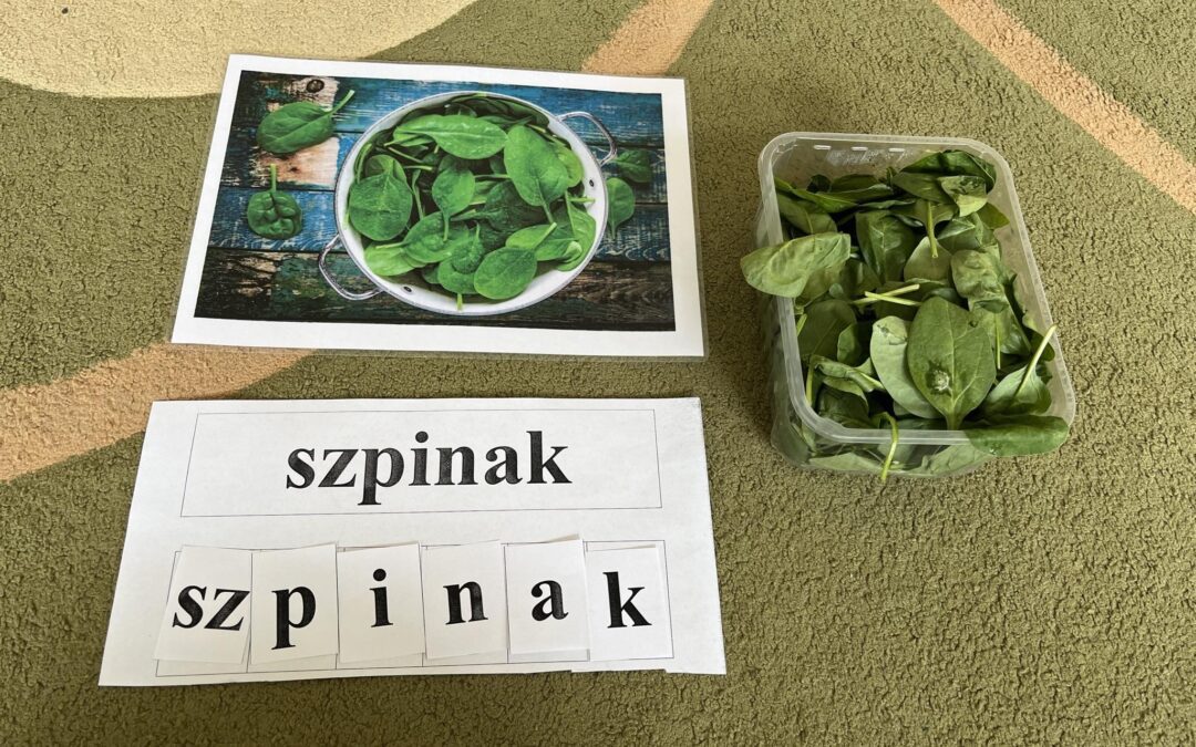 DZIEŃ SZPINAKU