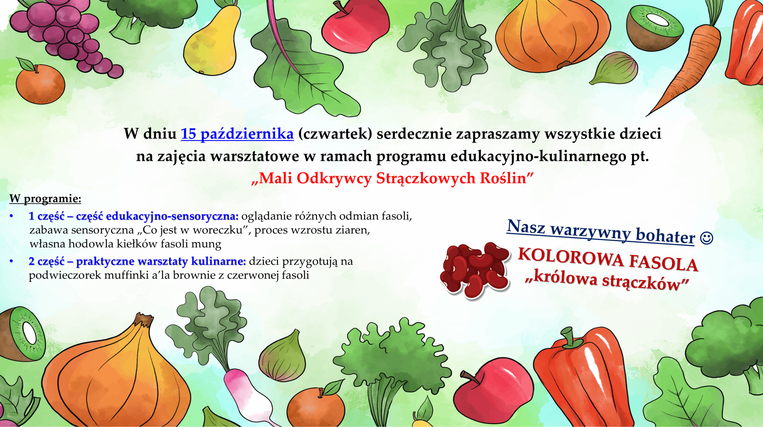 PROGRAM KULINARNY- FASOLA